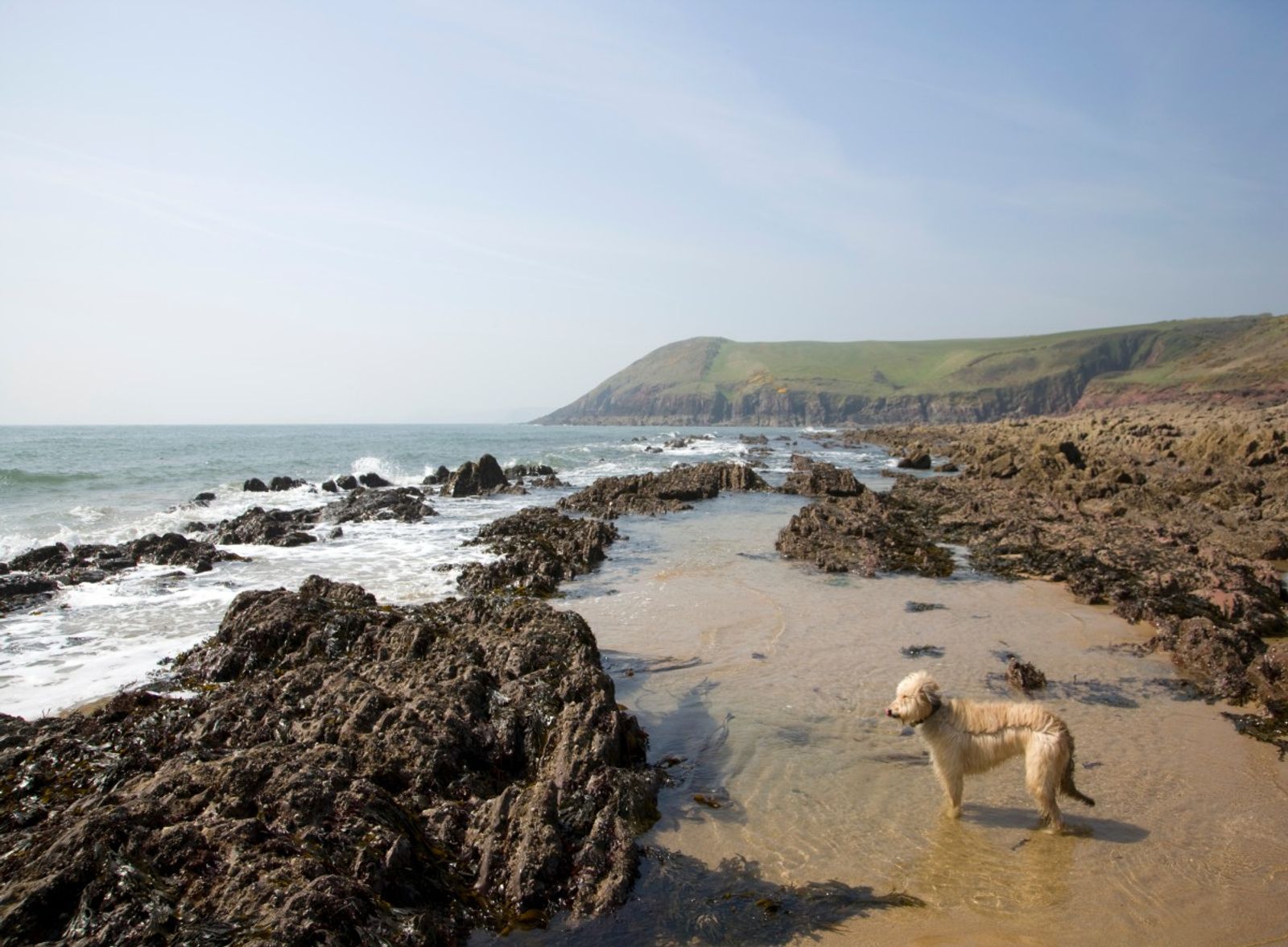 Pembrokeshire Coast, Wales
