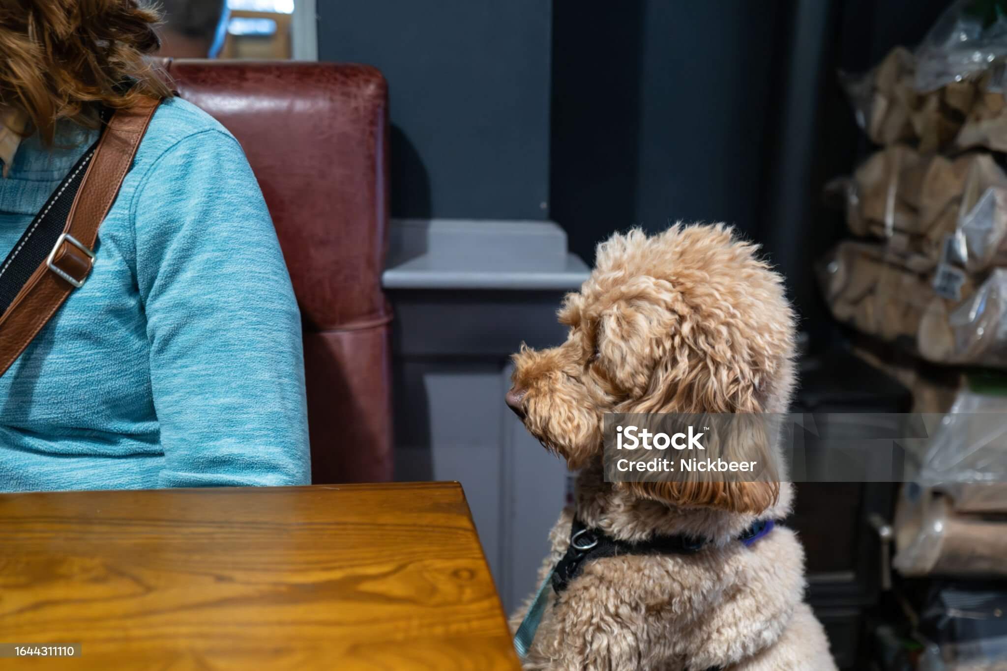 The Carpenters Arms, Felixkirk