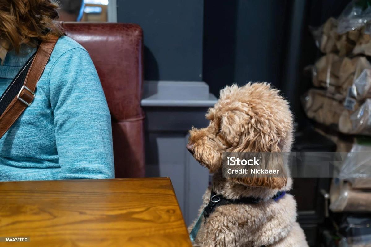 The Carpenters Arms, Felixkirk