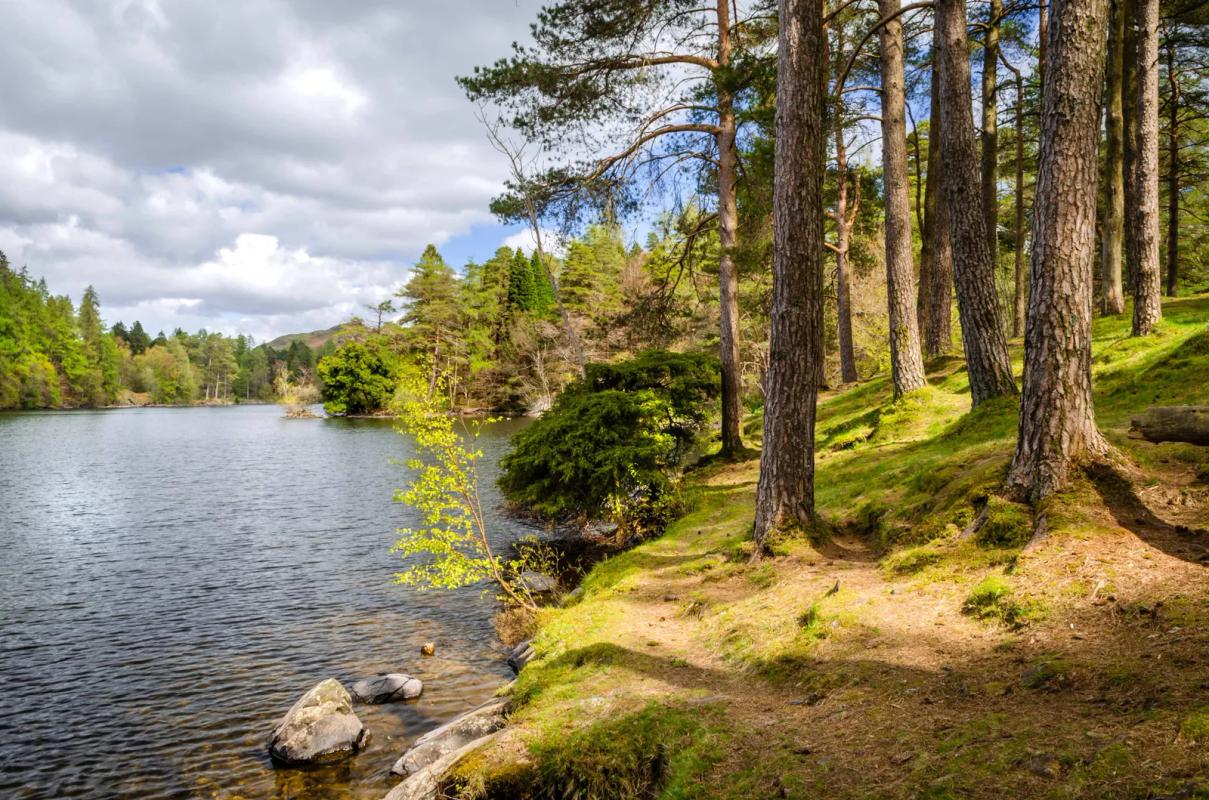 Tarn Hows