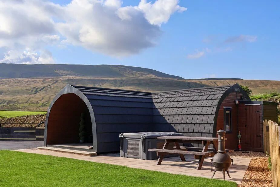 Lapwing, Chapel Le Dale, Yorkshire