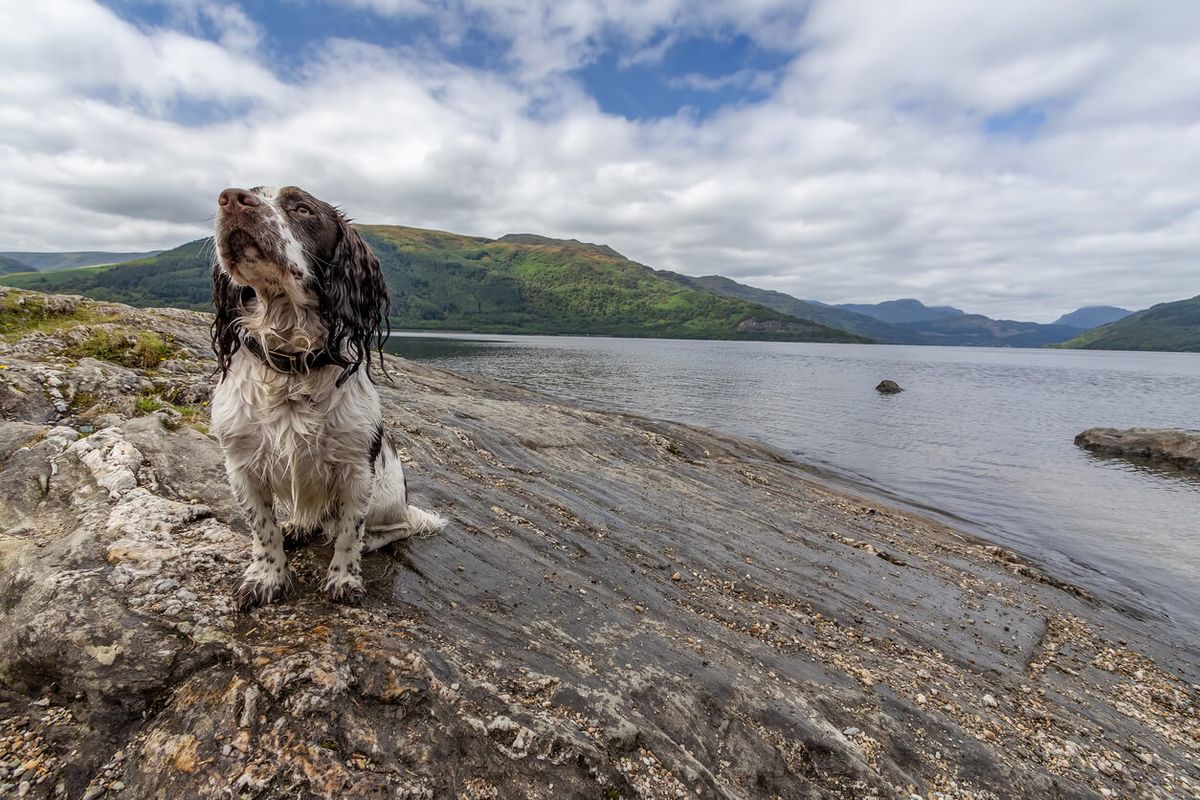 Loch Lomond & The Trossachs