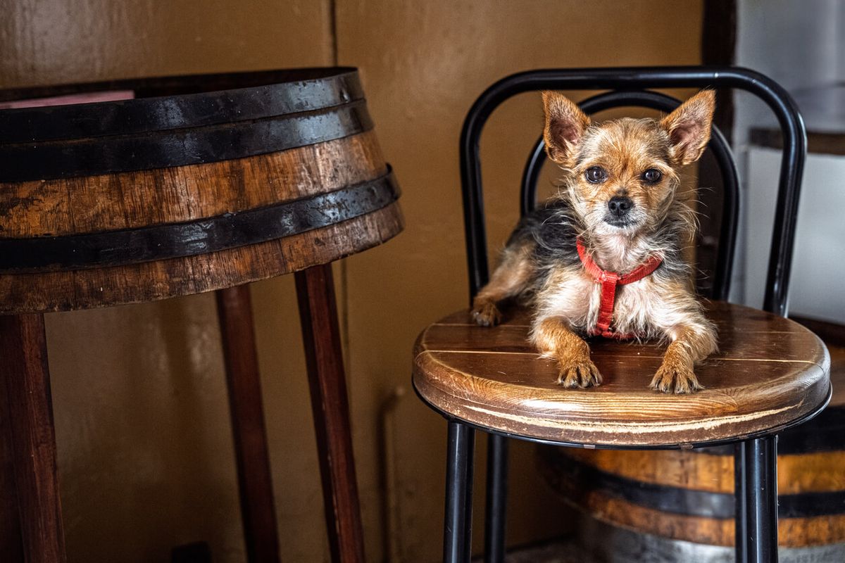 The Woolpack, Esholt