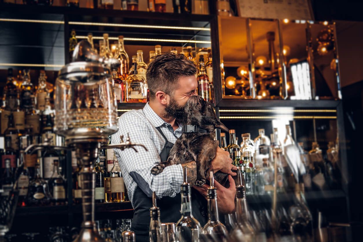 12 of the most dog-friendly pubs in the UK