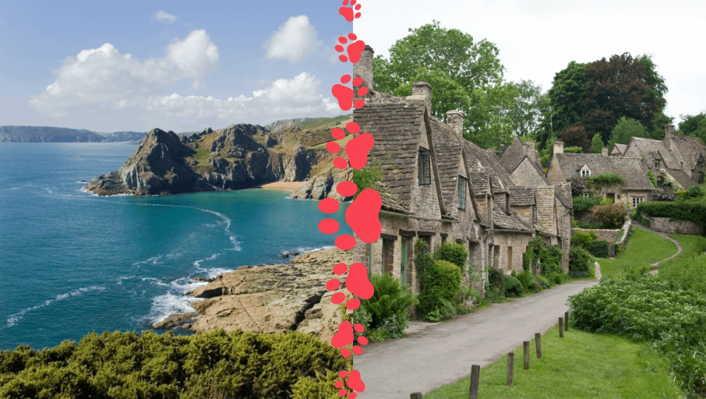 Top 10 dog-friendly holiday destinations