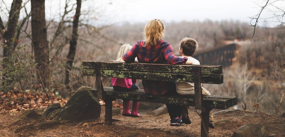 Mother sitting on woodland bench with children and a dog