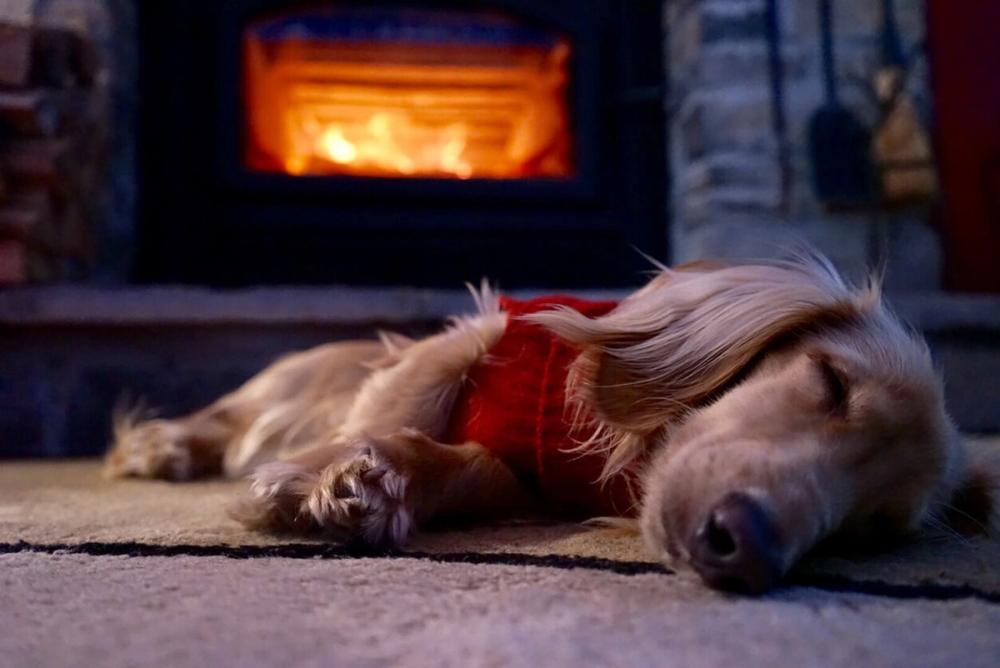 New dog-friendly cottages for 2025