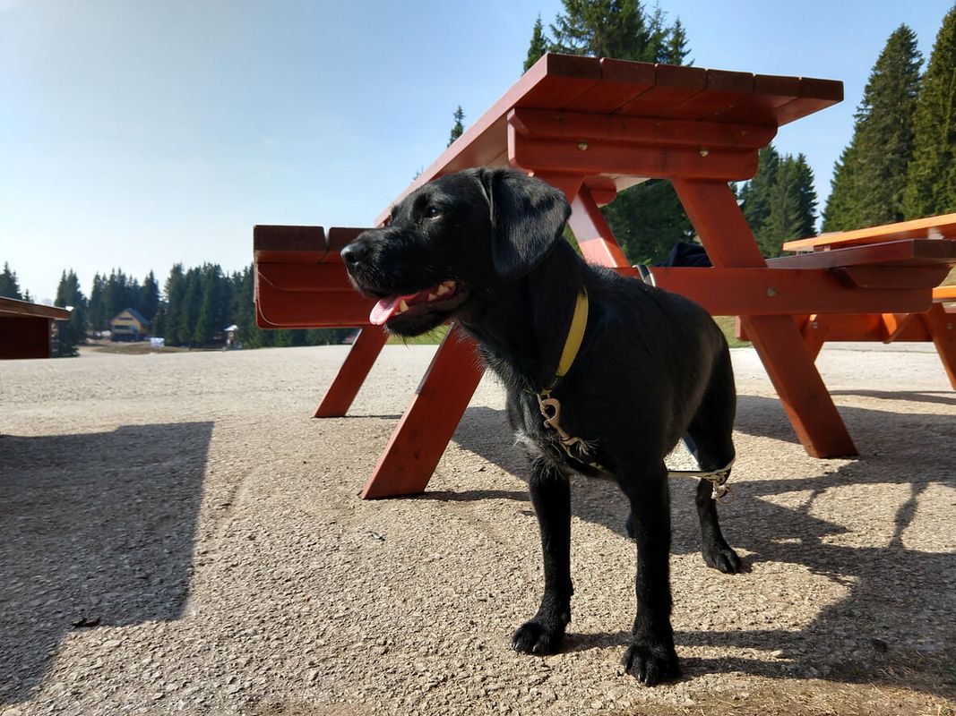 The Scotsman’s Pack, Hathersage