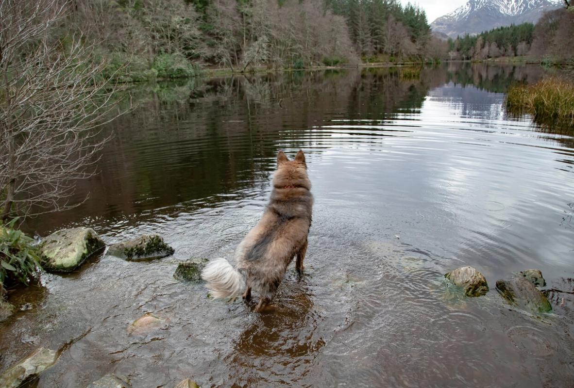 4. Scottish Highlands (A82 / Glencoe) – Glasgow to Inverness