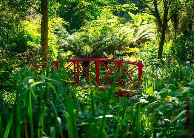 Abbotsbury Subtropical Gardens