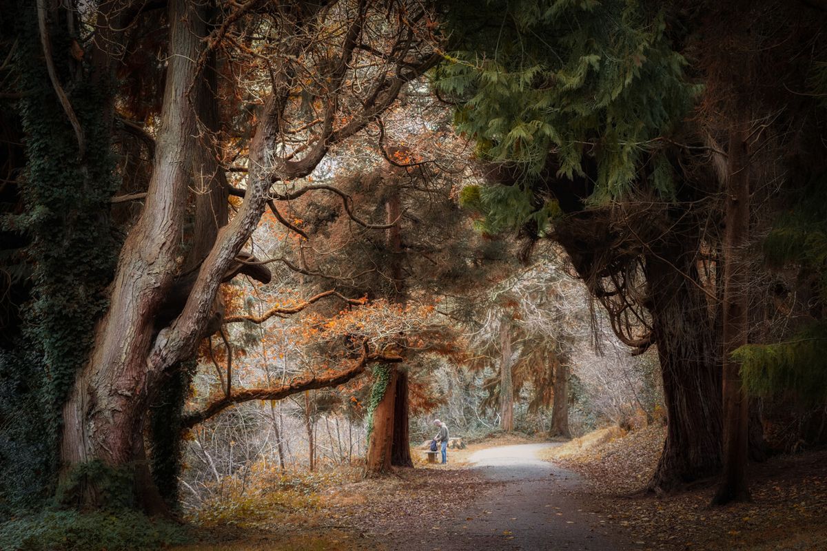 Lanhydrock, Cornwall