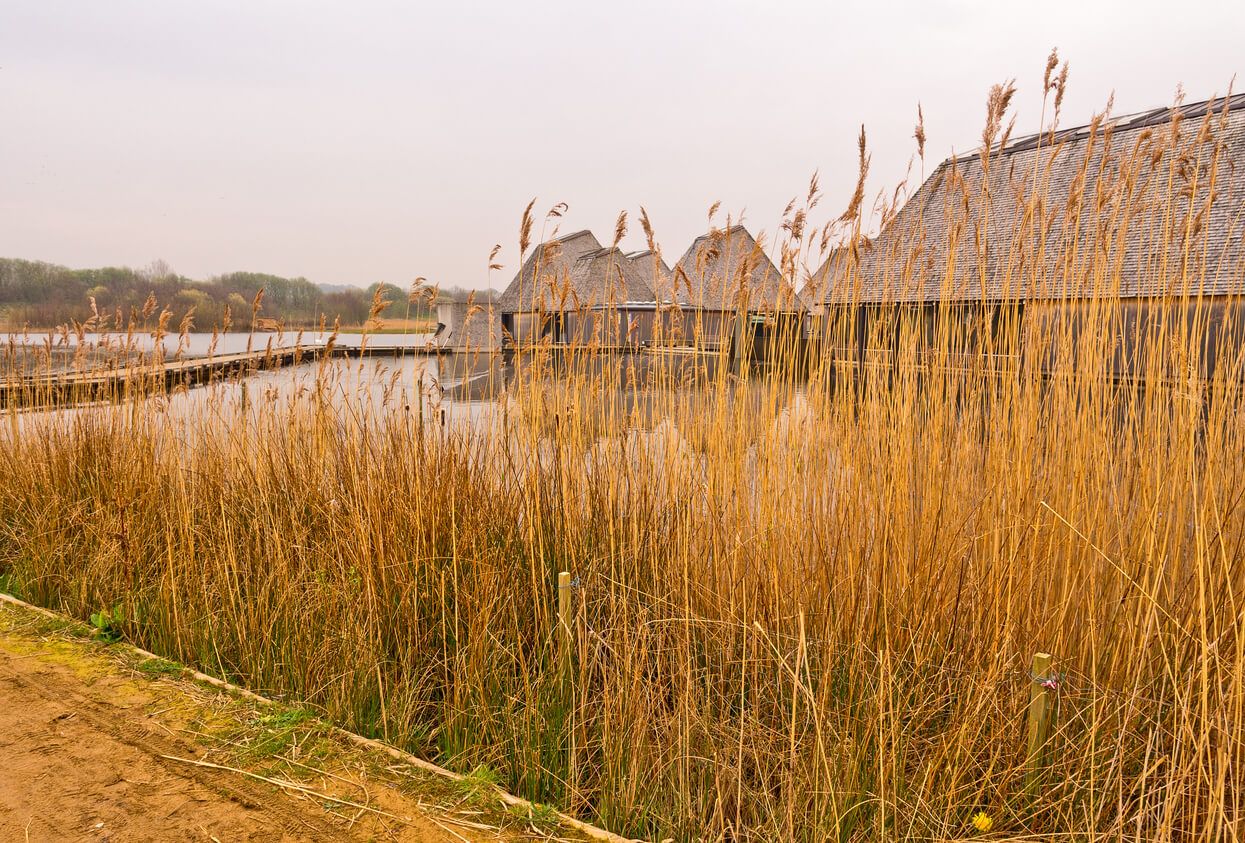 Brockholes, Preston