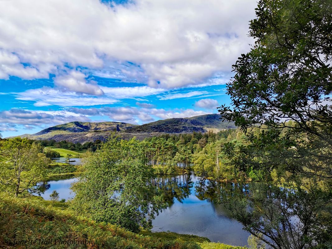 Tarn Hows