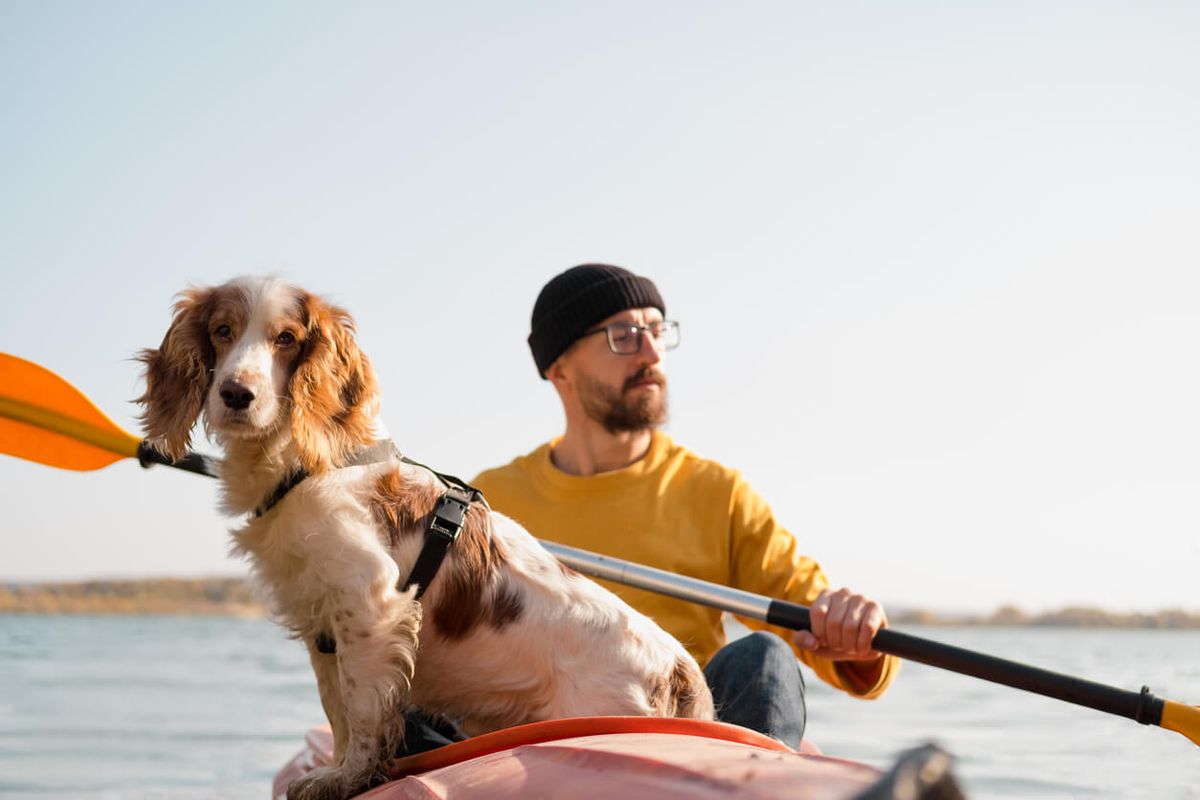 Canoeing with a dog
