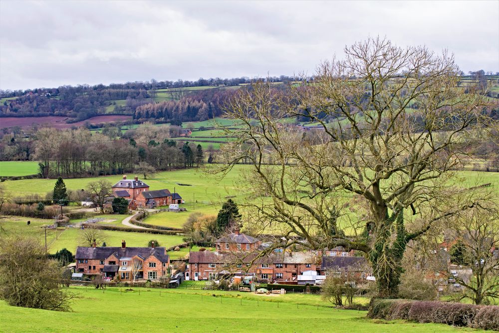 an image of Dog friendly log cabins in Ashbourne