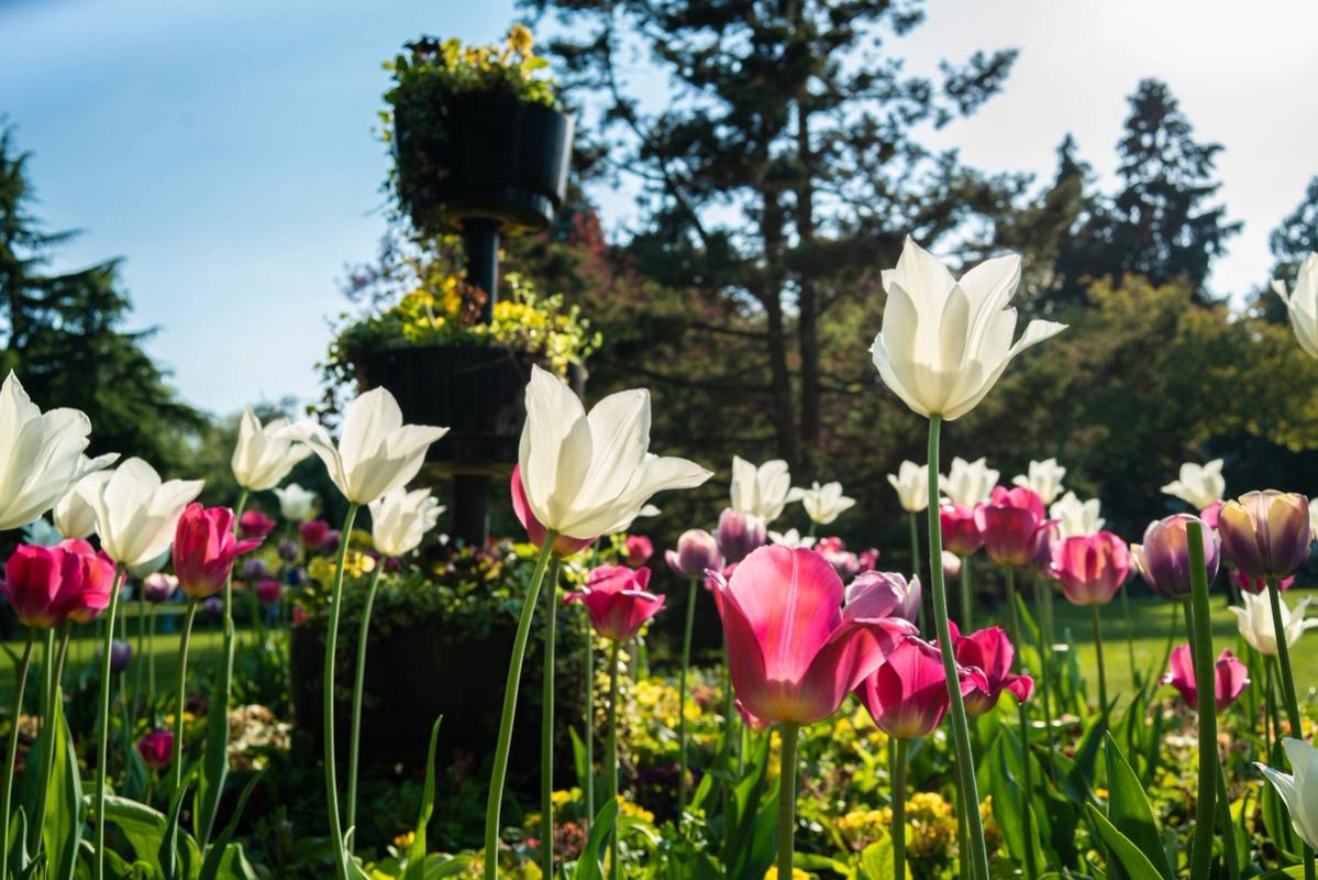 Cannon Hill Park
