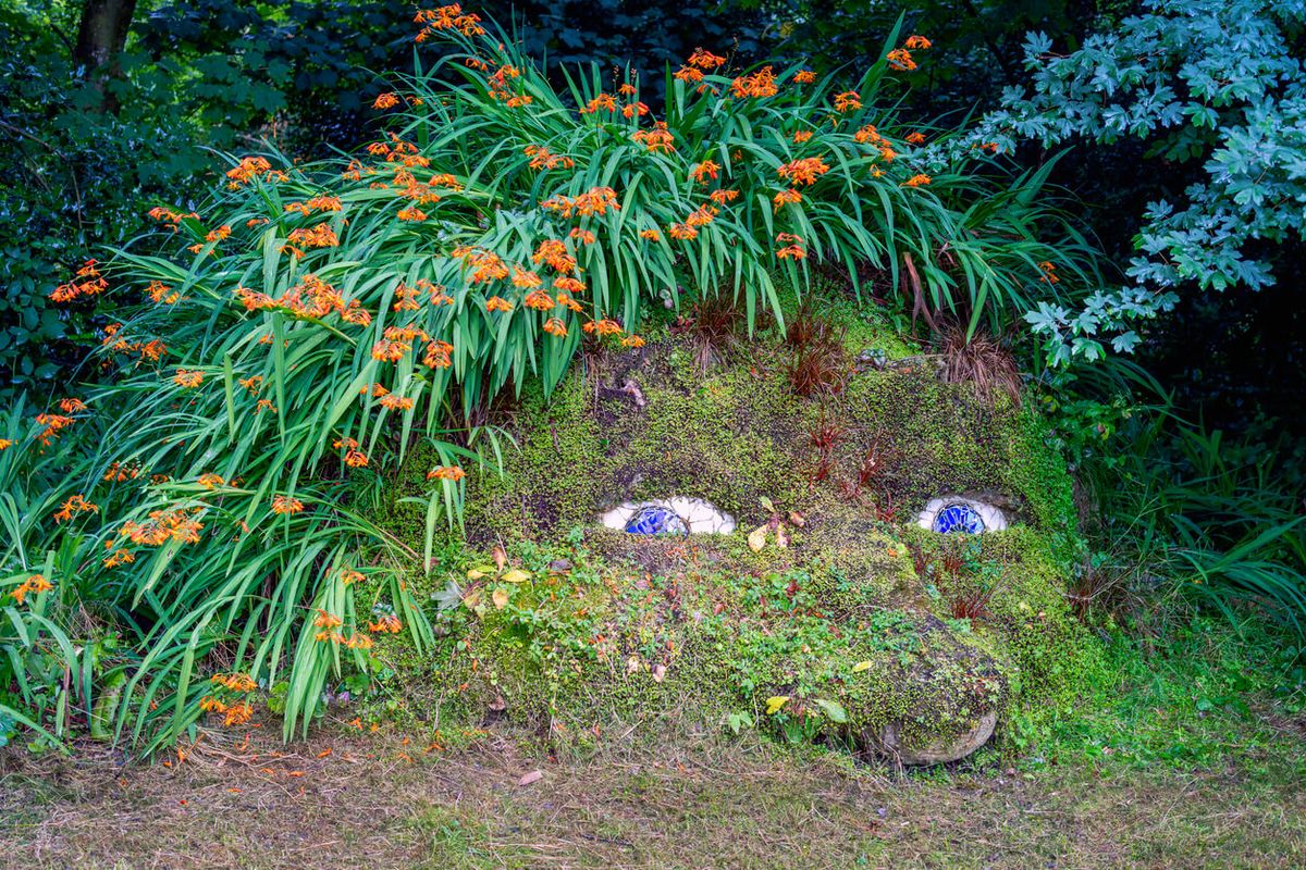 The Lost Gardens of Heligan, Near Mevagissey