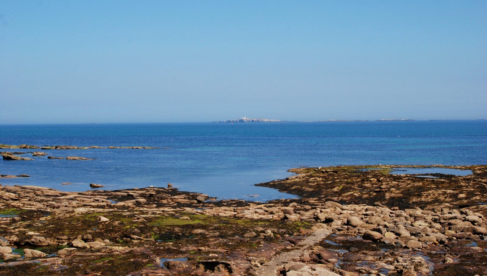 Dog Friendly Seahouses Holiday Cottages