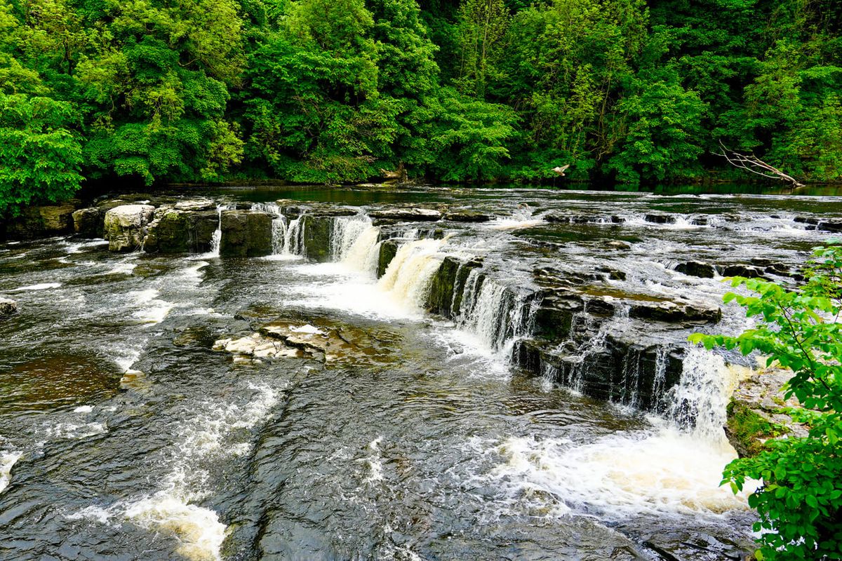 Aysgarth Falls