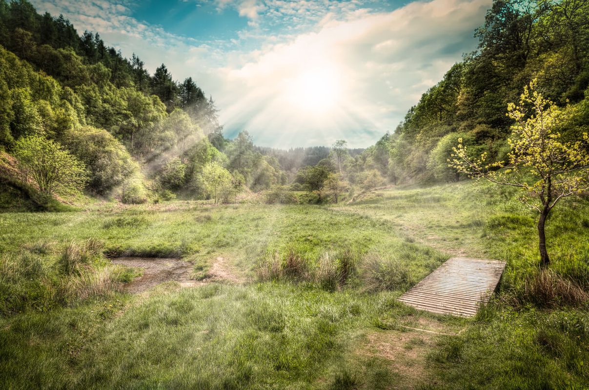 Dalby Forest, North Yorkshire