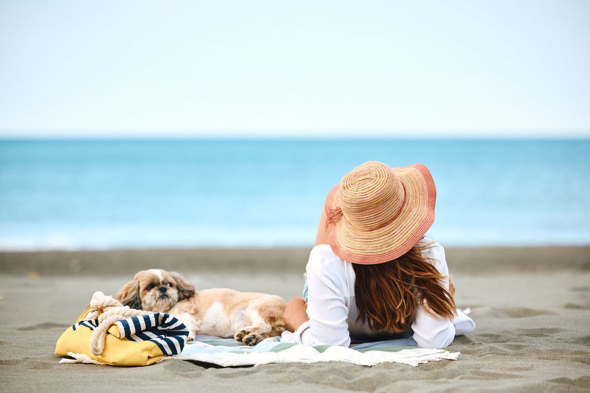 Sand-Proof Dog Blankets