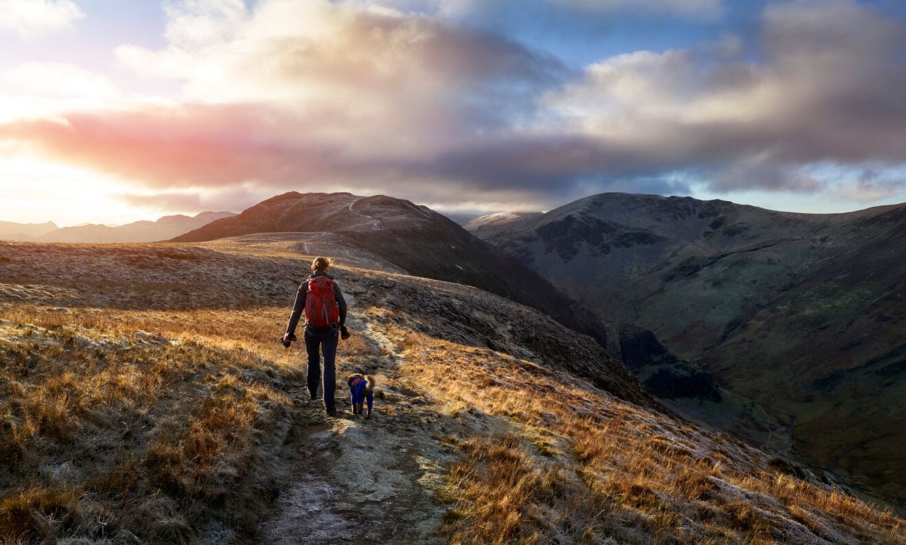 Dog and owner hiking in the Lake District 