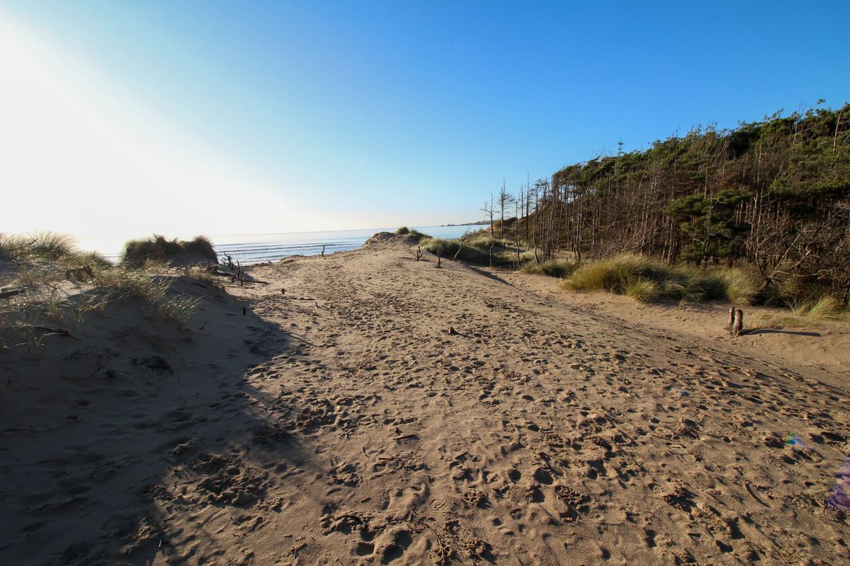North Wales – Newborough Forest & Llanddwyn Island