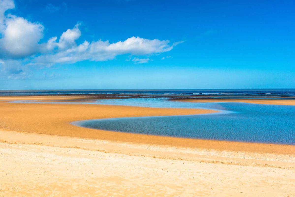 Best dog walks in Norfolk