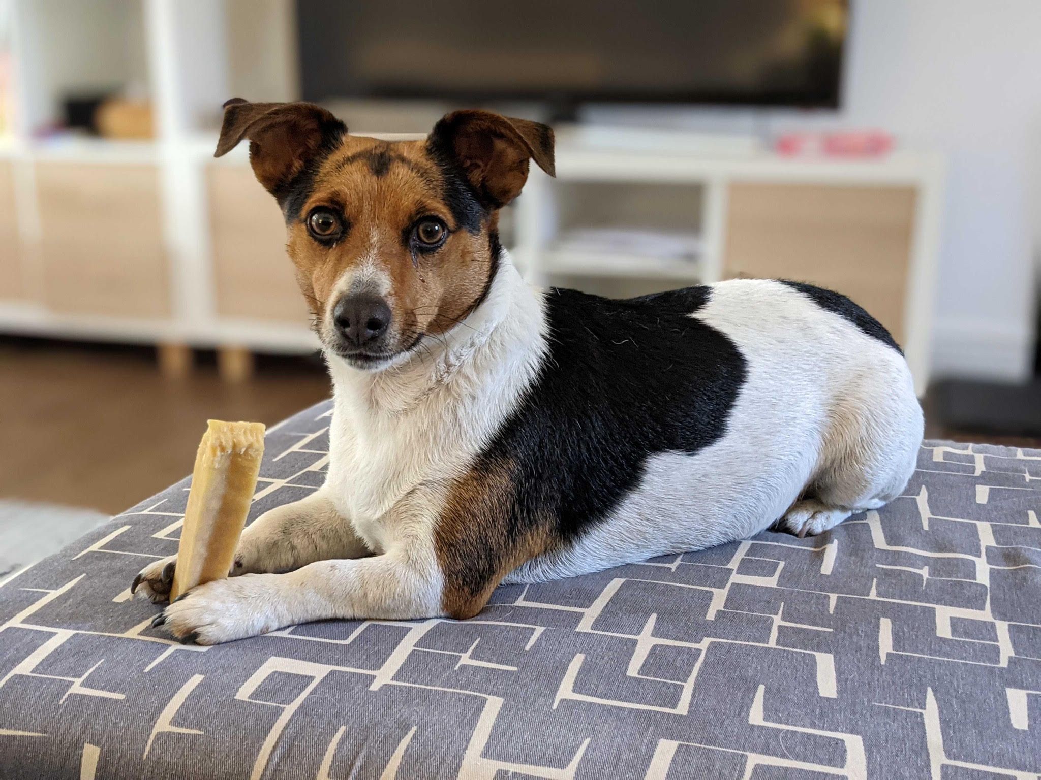 Pip