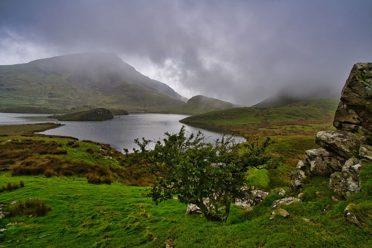 Llyn Cwm Bychan, Snowdonia National Park