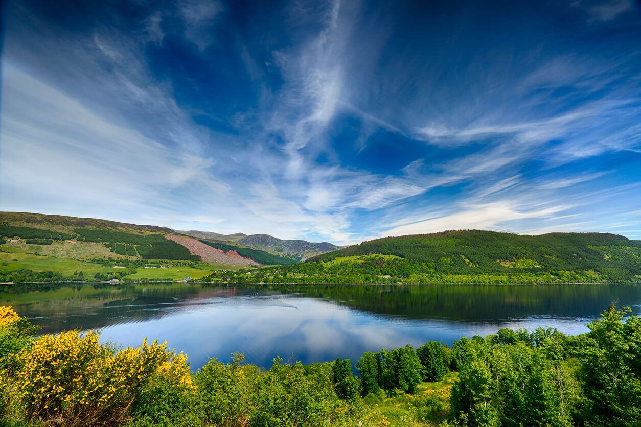 an image of Dog friendly log cabins in Perthshire