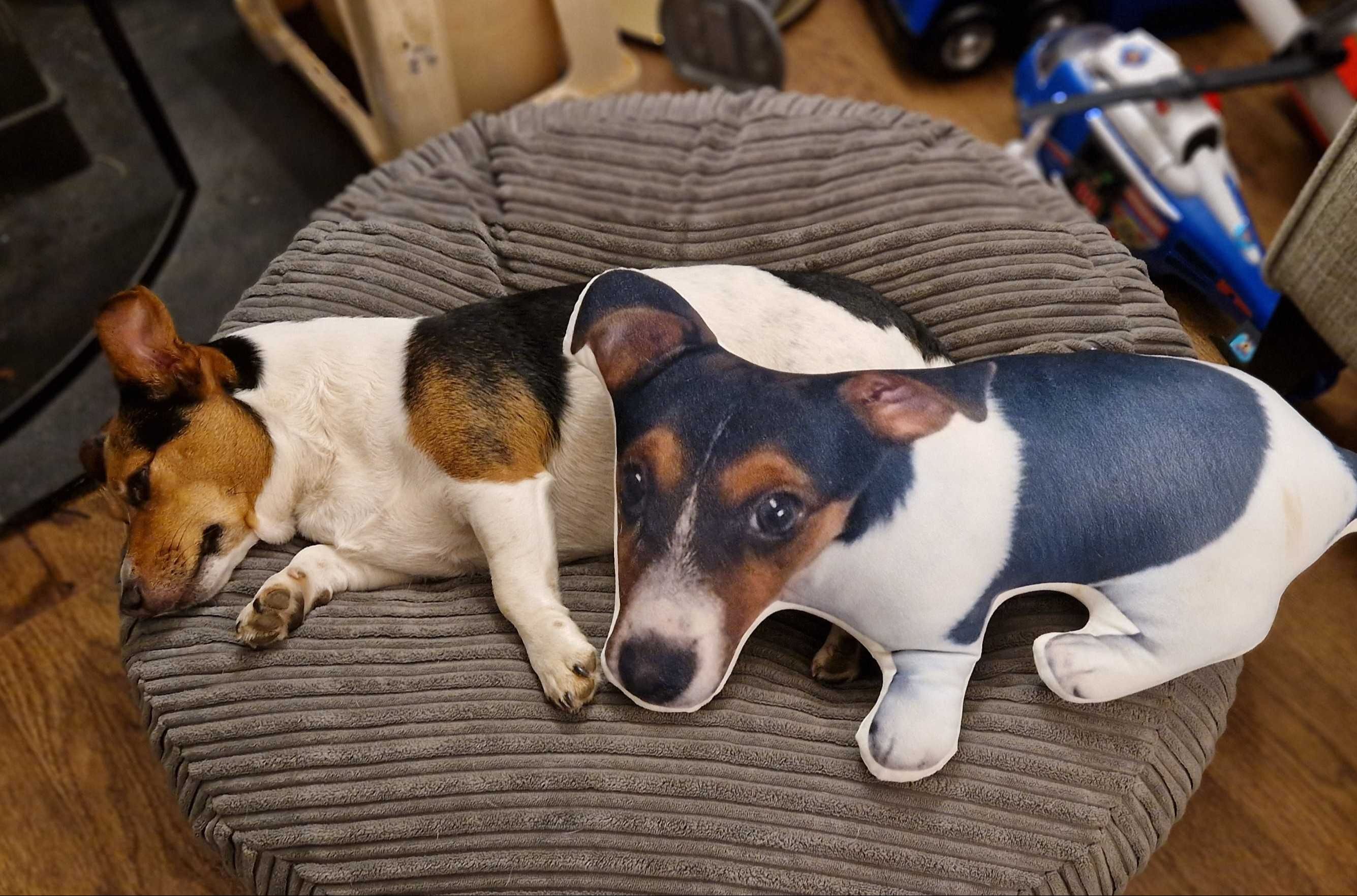 Pip