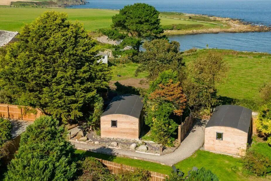 Ivy, Whithorn, Dumfries and Galloway