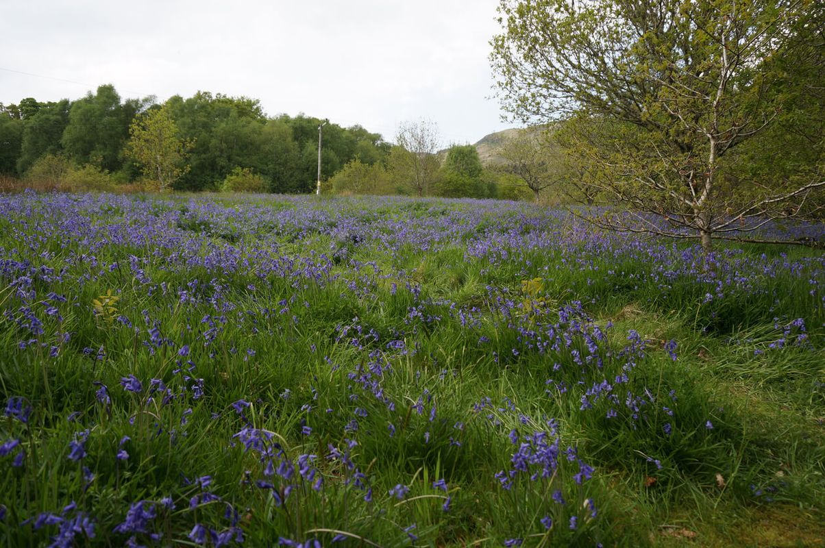 Glen Finglas, Stirling, Scotland