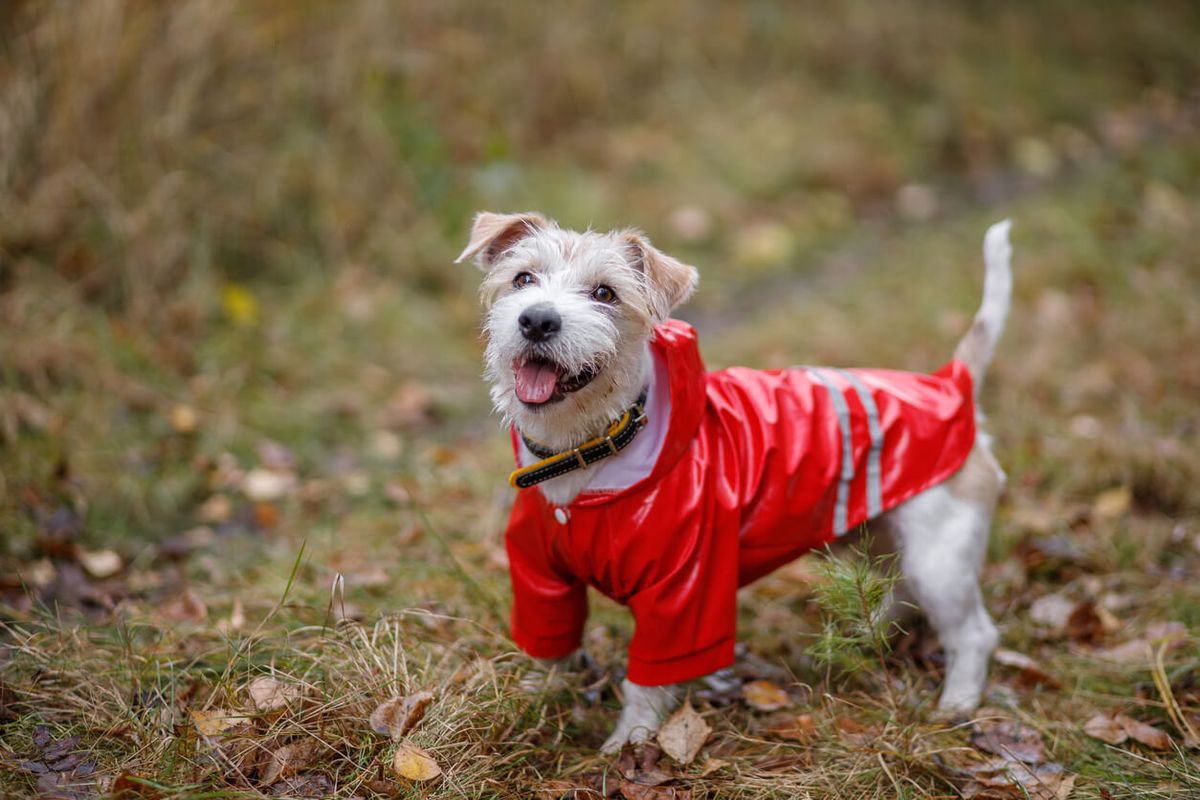 Jackets and cooling kit