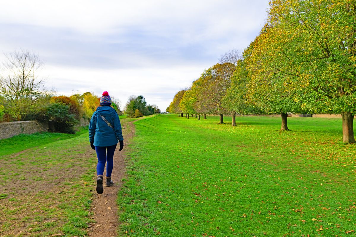 Minchinhampton & Rodborough Commons