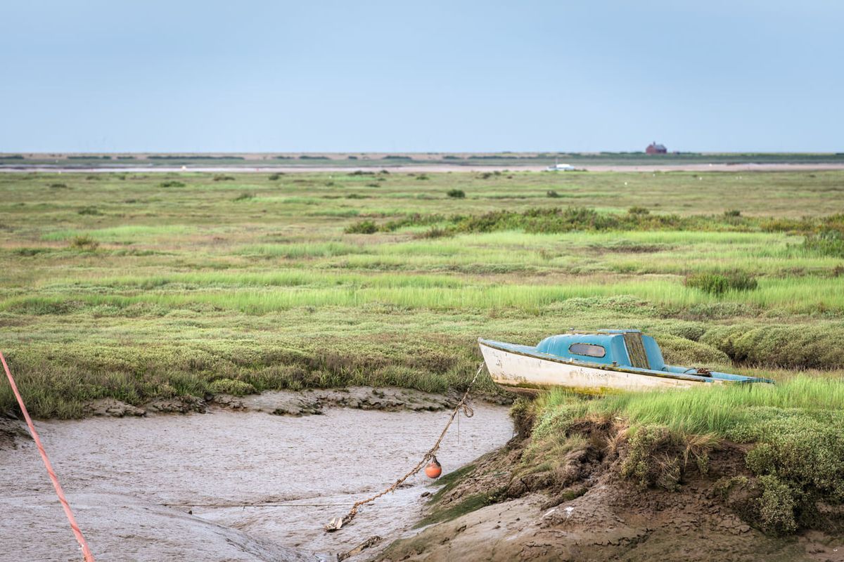 Blakeney saltmarshes
