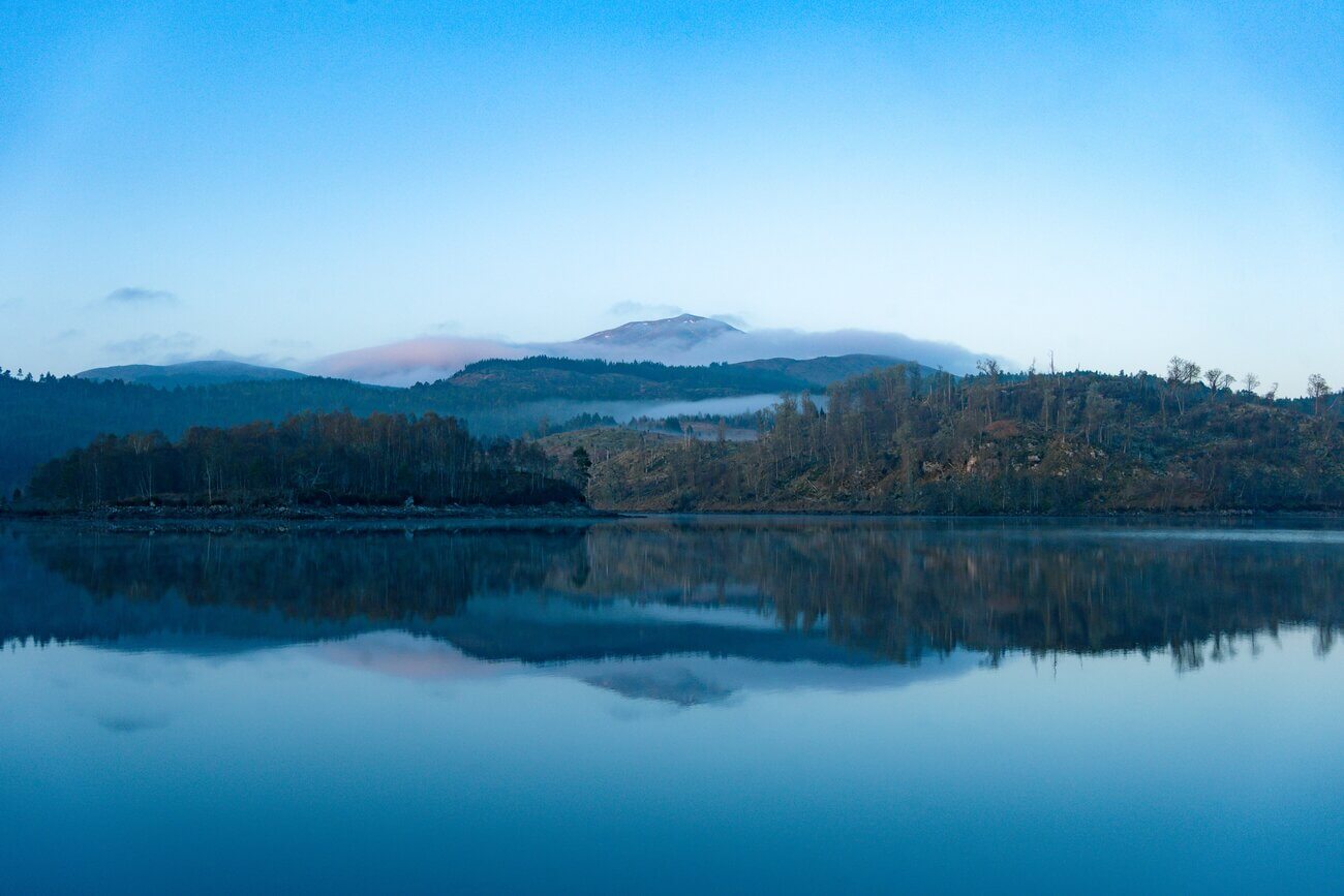 an image of Dog friendly log cabins in Aviemore