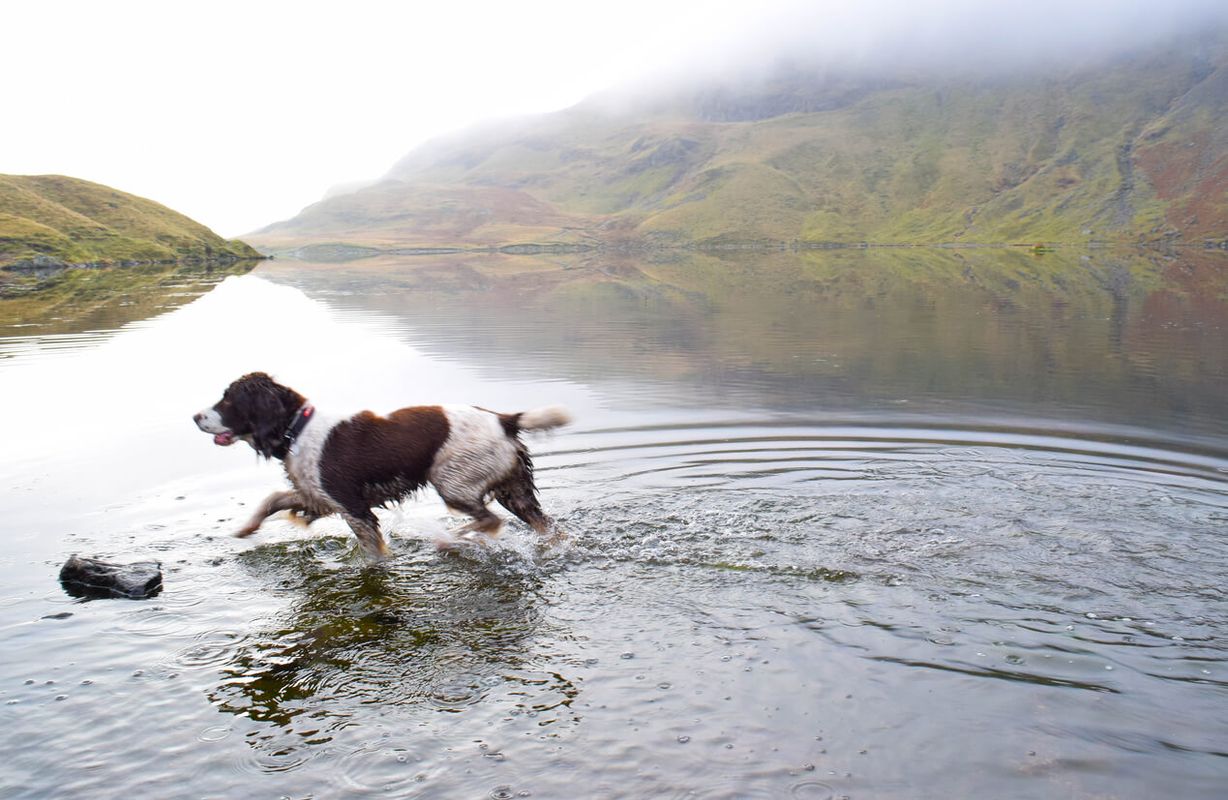3. Lake District Loop, England – Kendal to Keswick