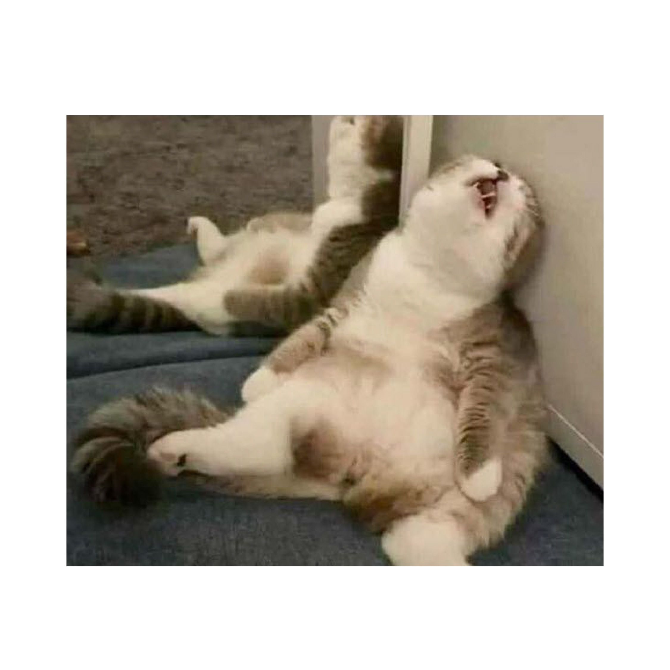 當另一半問你有幾攰......