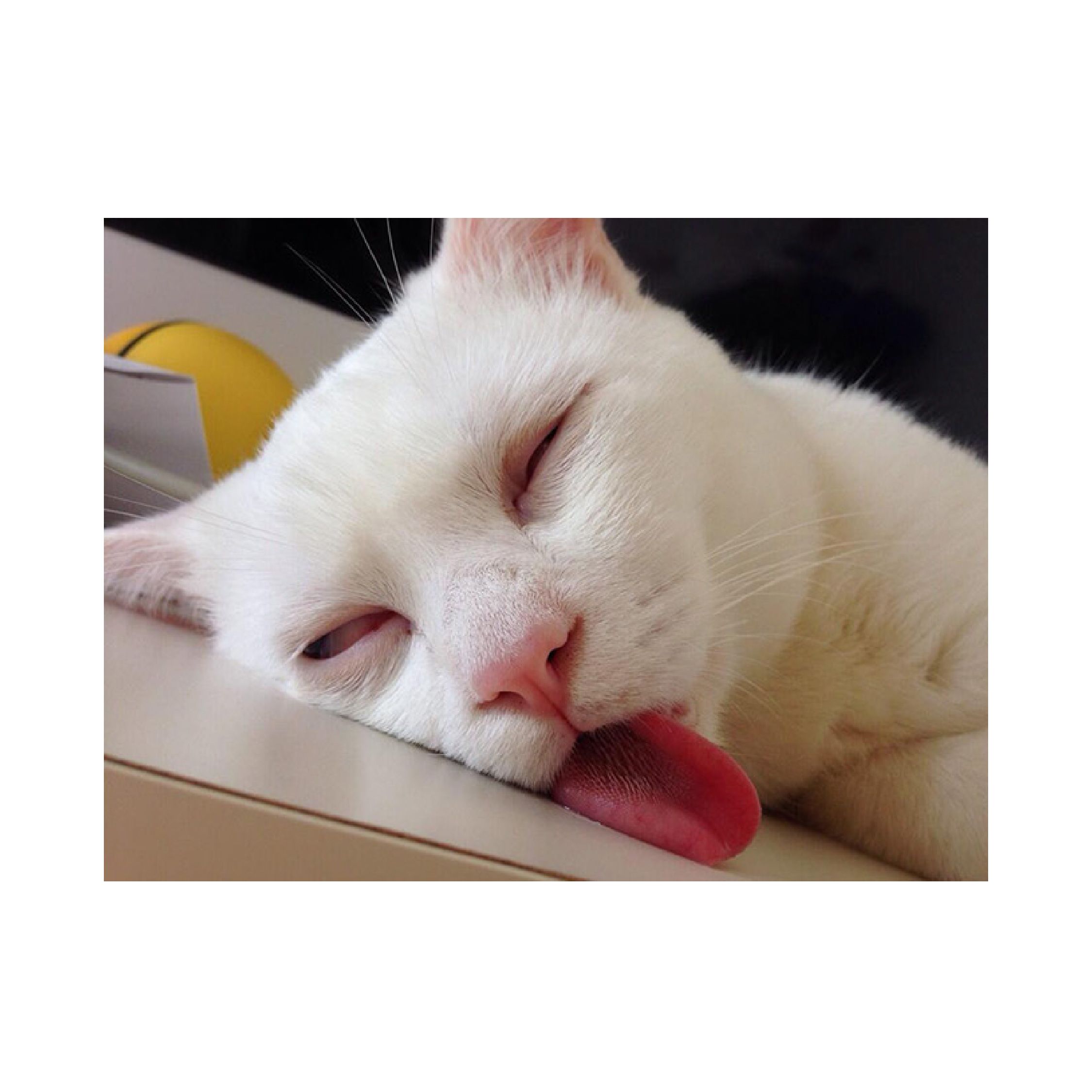 當另一半問你有幾攰......