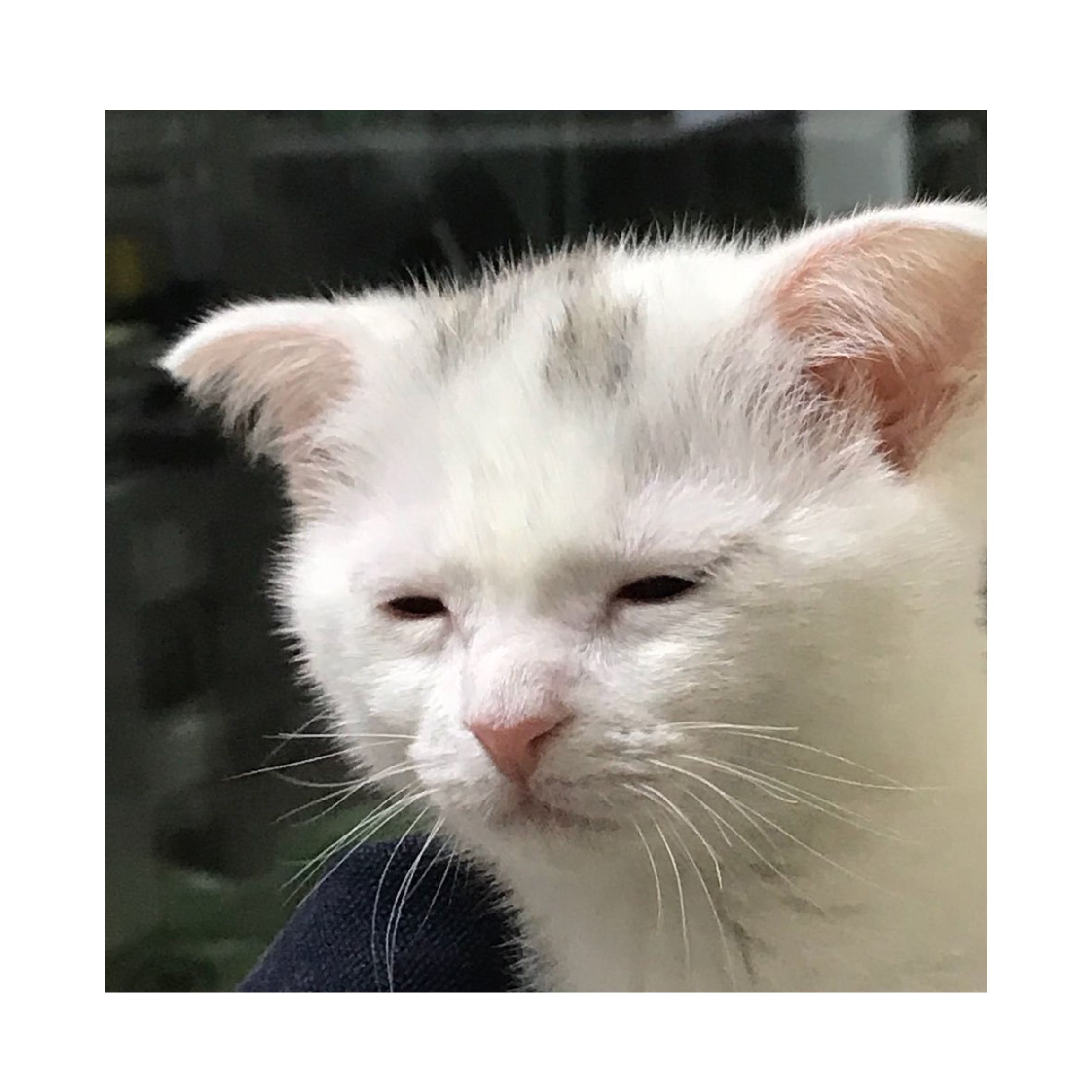 當另一半問你有幾攰......