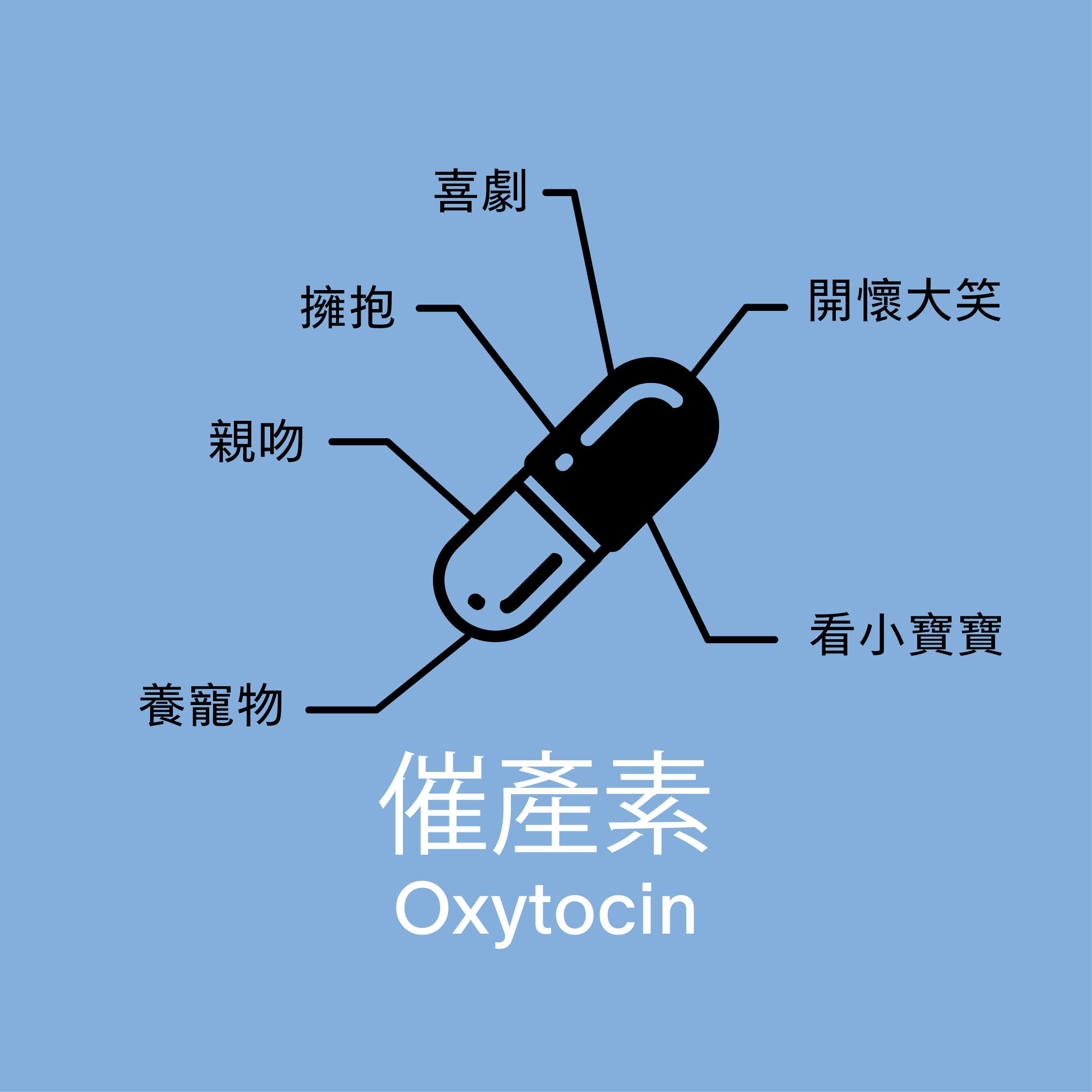 快樂Supplement
