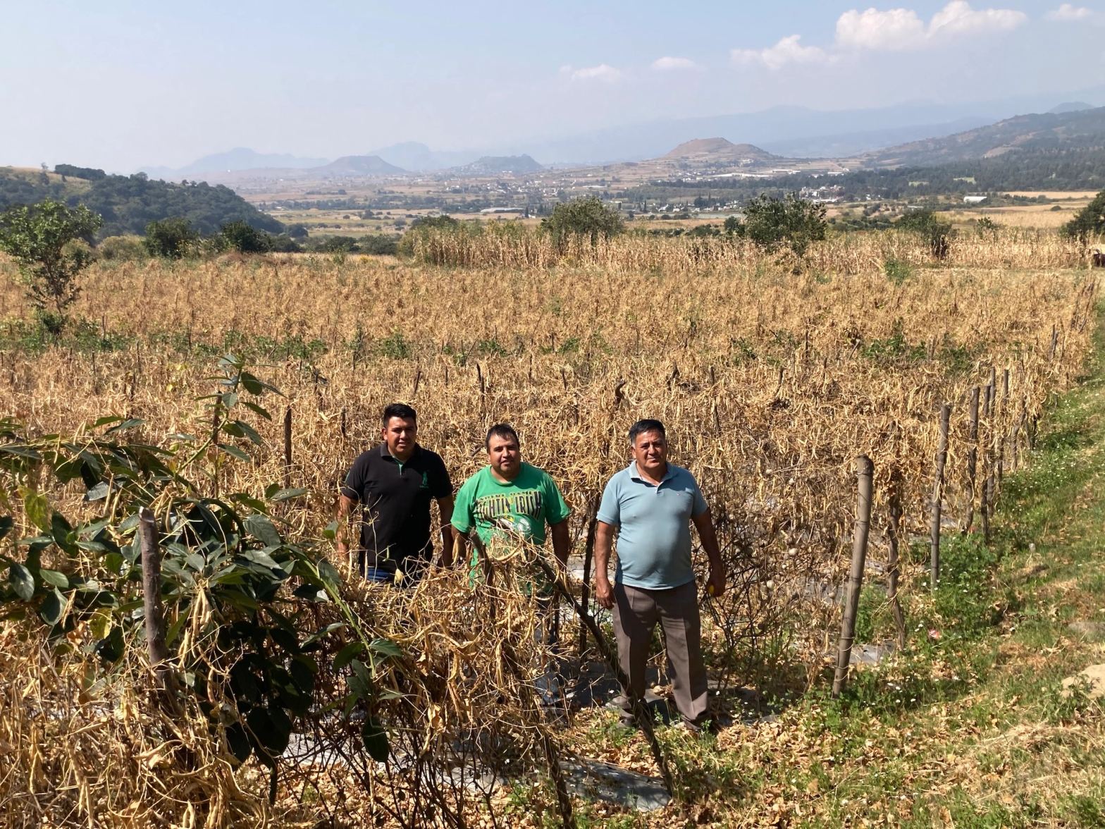 Daniel, Rogelio (son) and Rogelio Ibarra. Ozumba, State of Mexico.