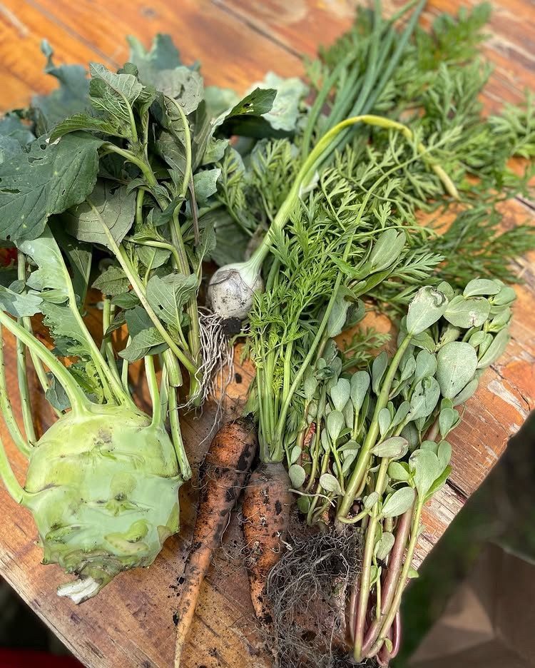 Verduras de la chinampa