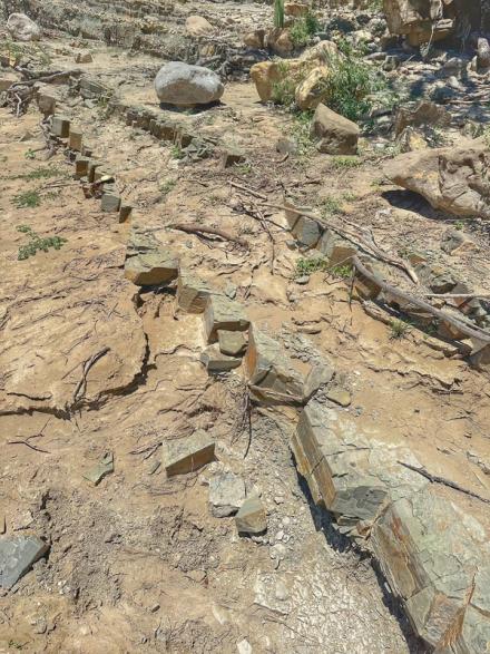 rastro paleontologico