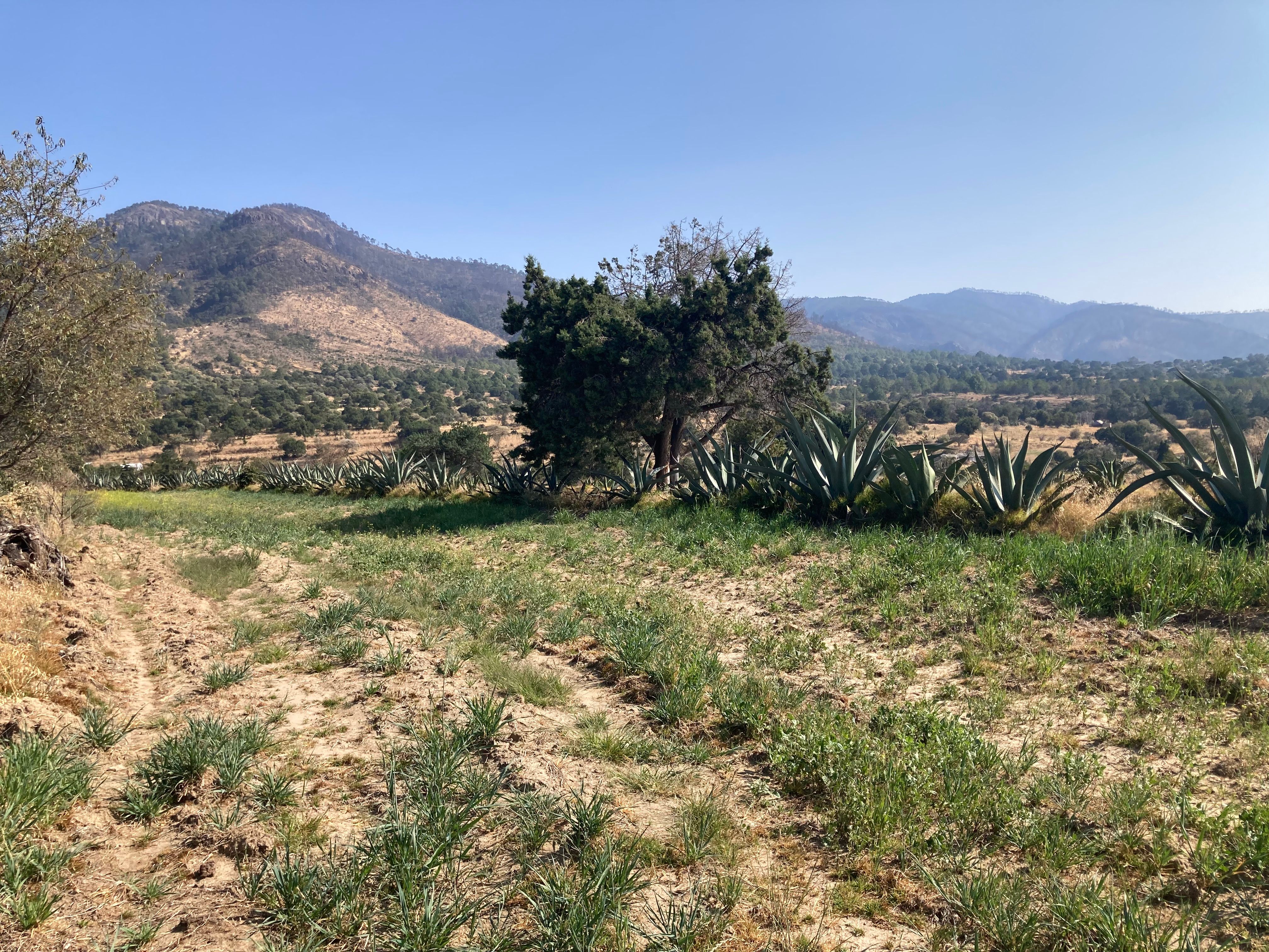 MATEPANTLA Y MONTAÑAS