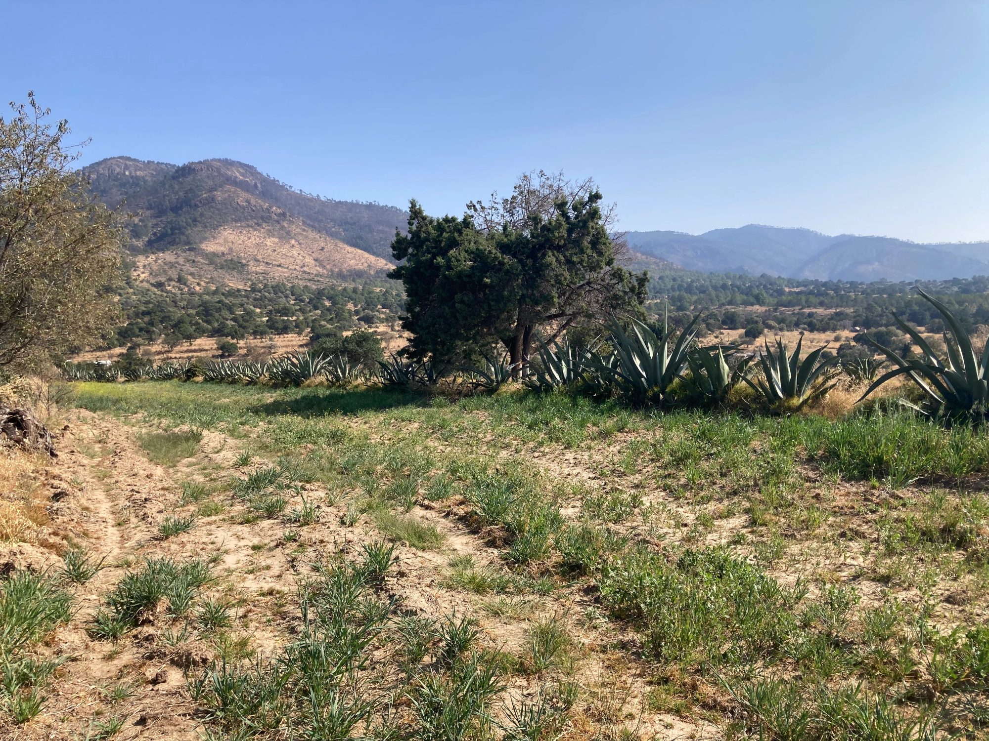 MATEPANTLA Y MONTAÑAS