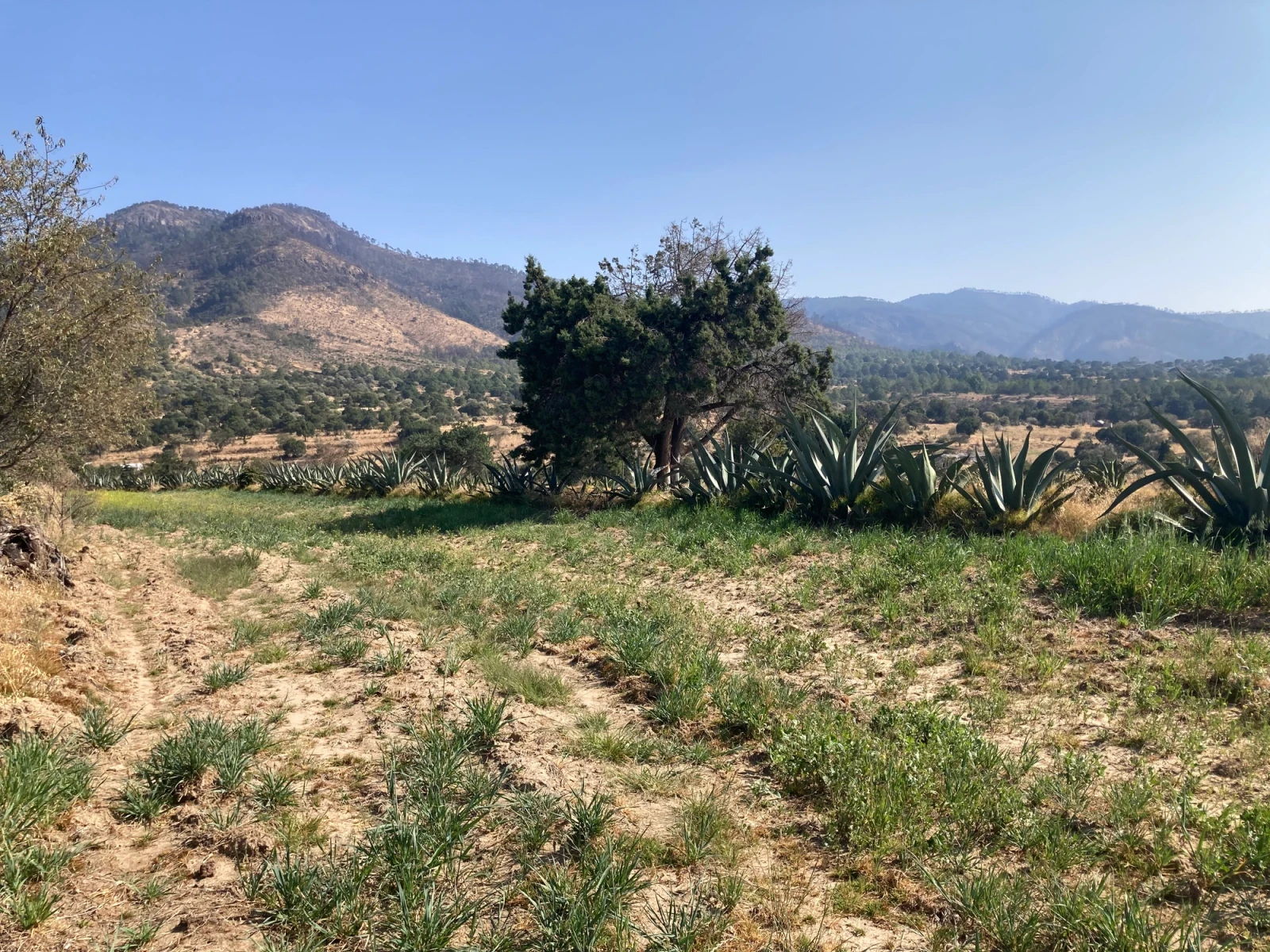 MATEPANTLA Y MONTAÑAS