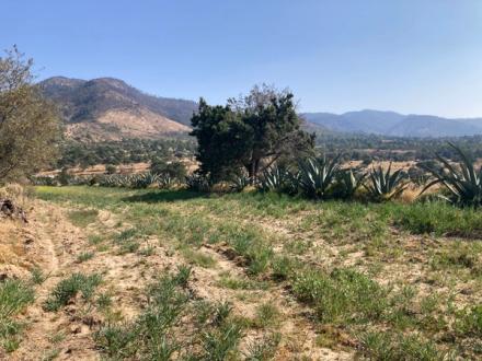 MATEPANTLA Y MONTAÑAS